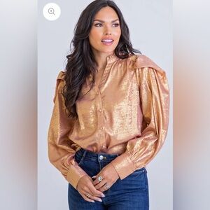 Karlie Metallic Top